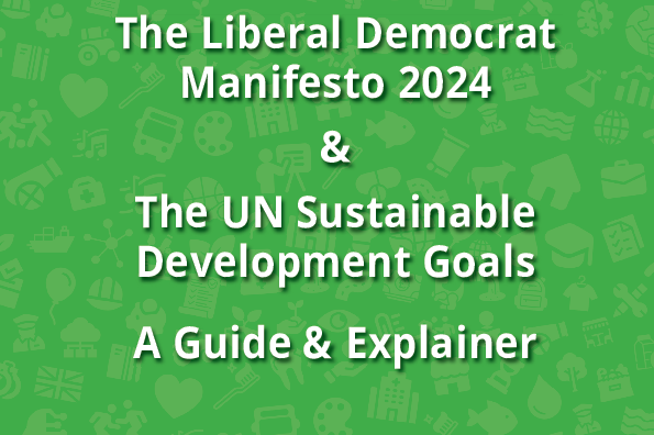 Global Goals Manifesto Explainer 