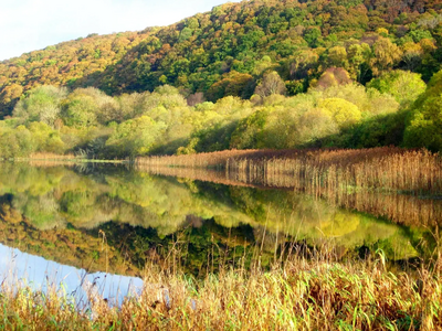 Galloway Loch & Woodland