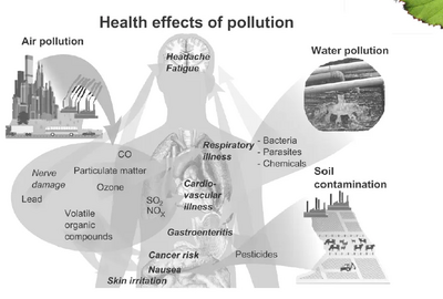 Health Effects of Pollution