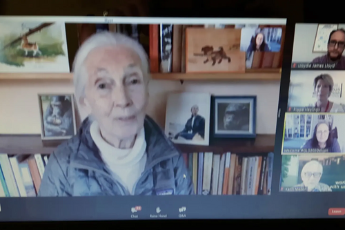 Jane Goodall talking at Green Lib Dems virtual conference June 2020