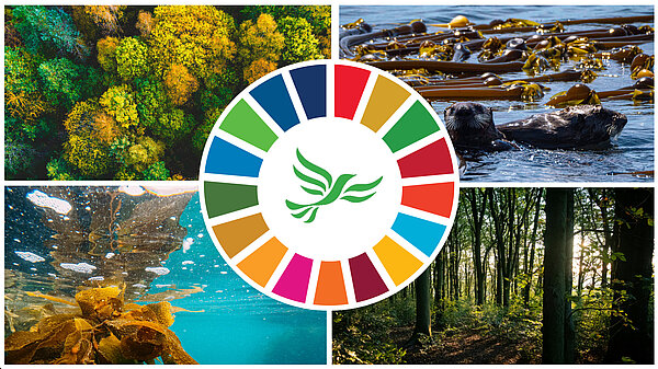 A collage of trees and woodland, otters, kelp with the UN SDG wheel in the middle with a green libby 