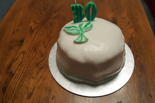 A sponge cake with roll-it-out icing