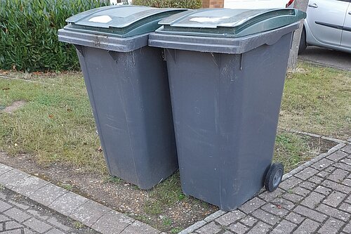 Green bins outside house