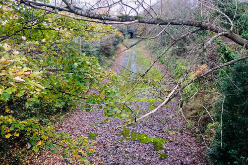 Bristol's Brislington Railway / Greenway